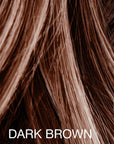 Mane Hair Touch Up - 8 grams