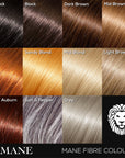 Hair Thickening Fibres Starter Pack (15g Fibres & 100ml Seal and Shine)