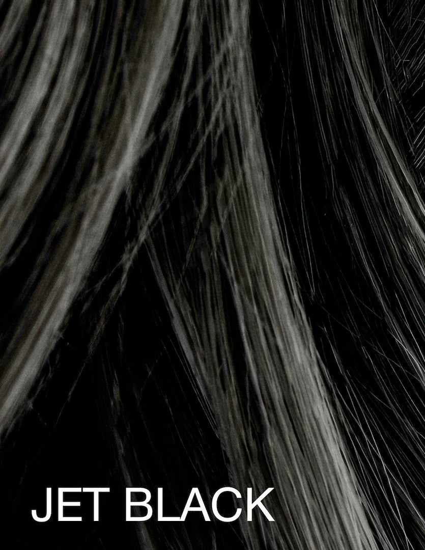 Mane Hair Thickening Fibers and Spray Applicator