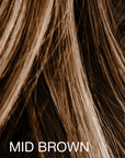 Mane Hair Touch Up - 8 grams