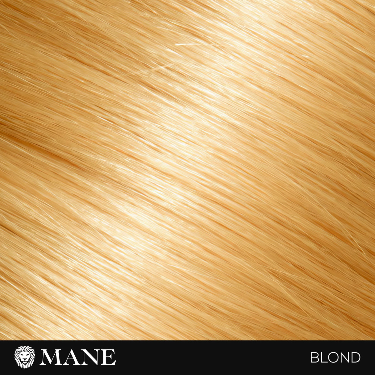 Hair &amp; Beard Touch-Up