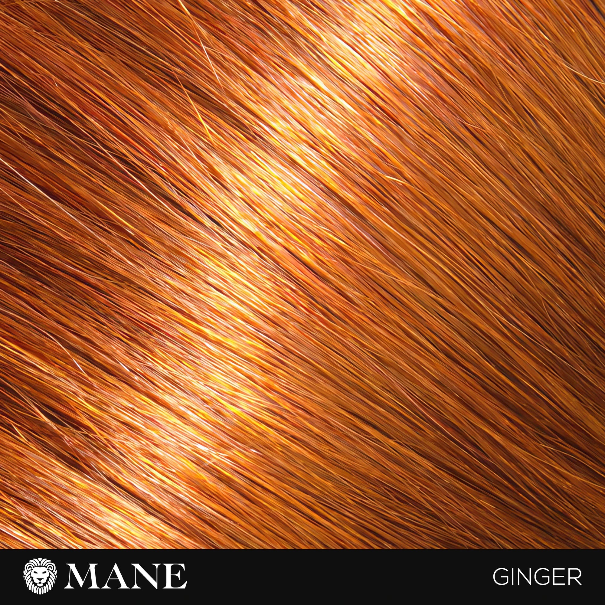 Hair Thickening Fibres Starter Pack (15g Fibres &amp; 100ml Seal and Shine)