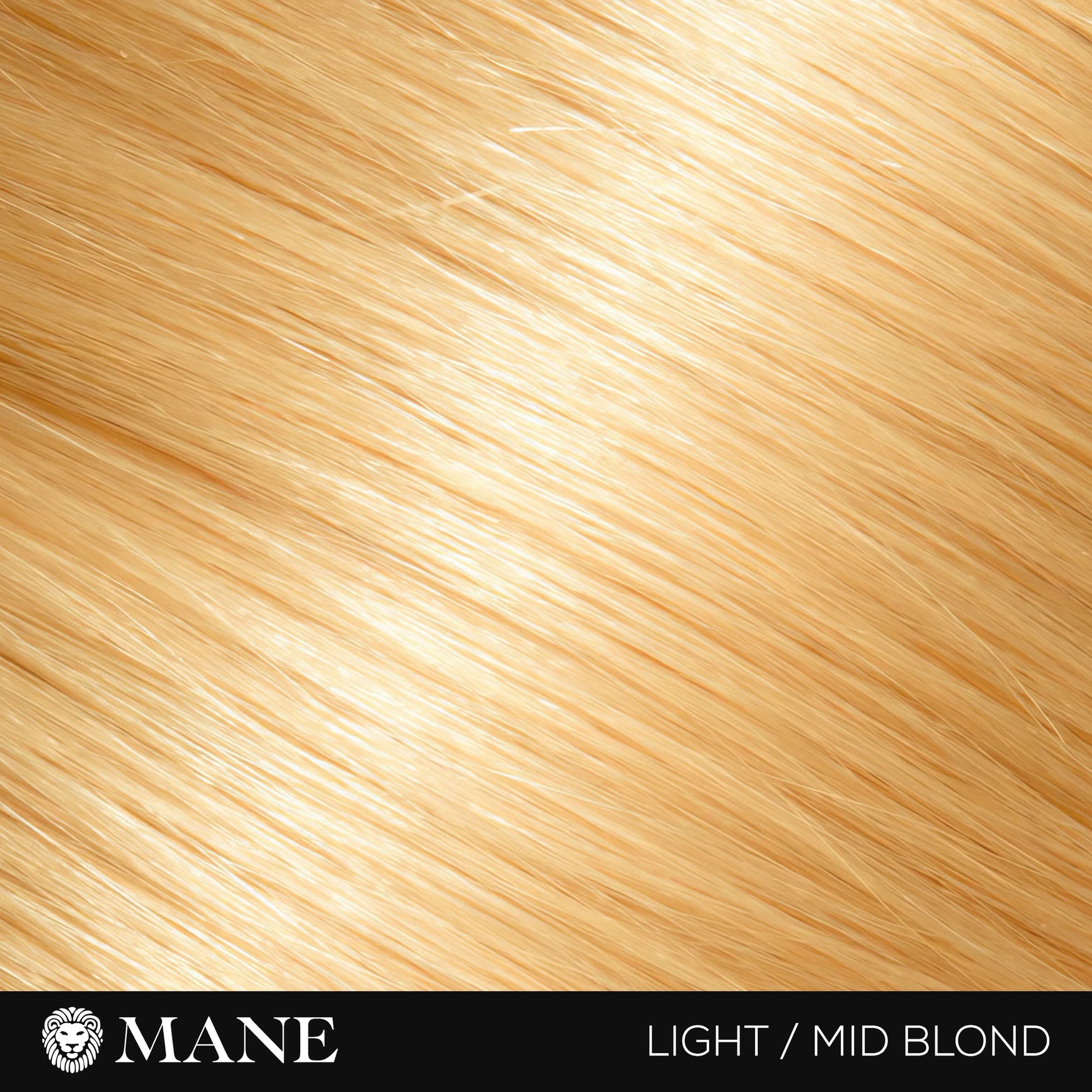 Hair Thickening Fibres Starter Pack (15g Fibres &amp; 100ml Seal and Shine)