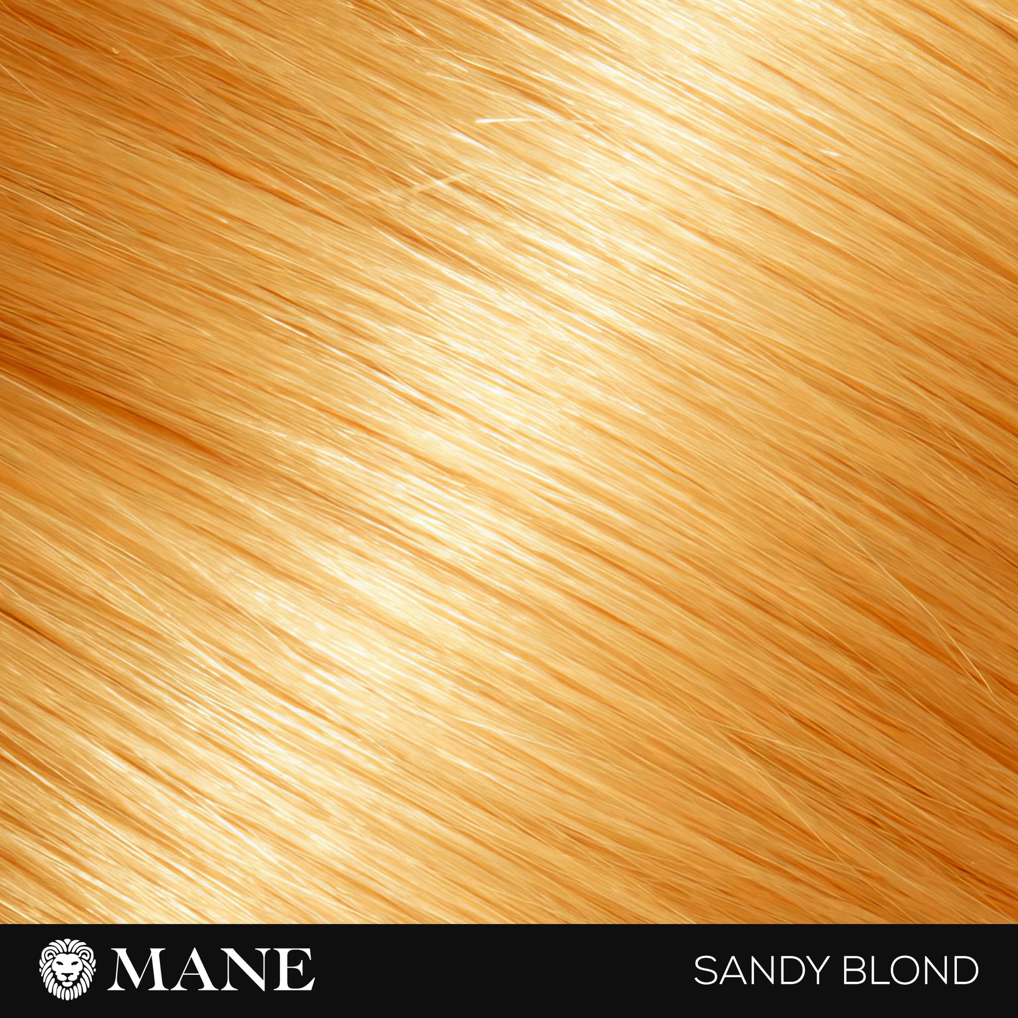 Hair Thickening Fibres Starter Pack (15g Fibres &amp; 100ml Seal and Shine)