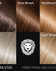 Hair Thickening Spray Travel Pack (100ml Thickening Spray and Seal & Control)